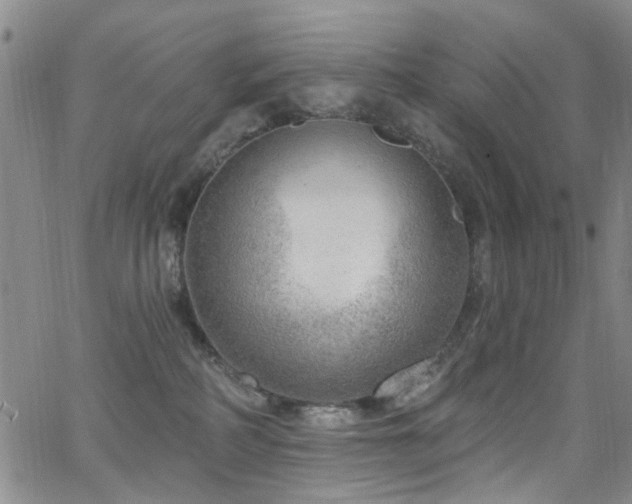 X0000063530234200601201506