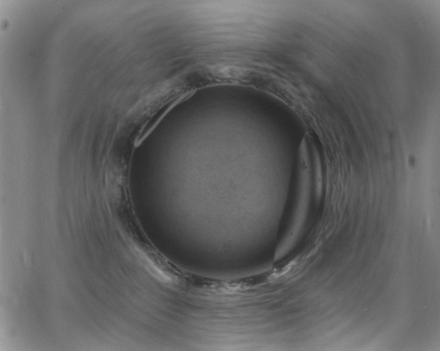 X0000063530235200601201506