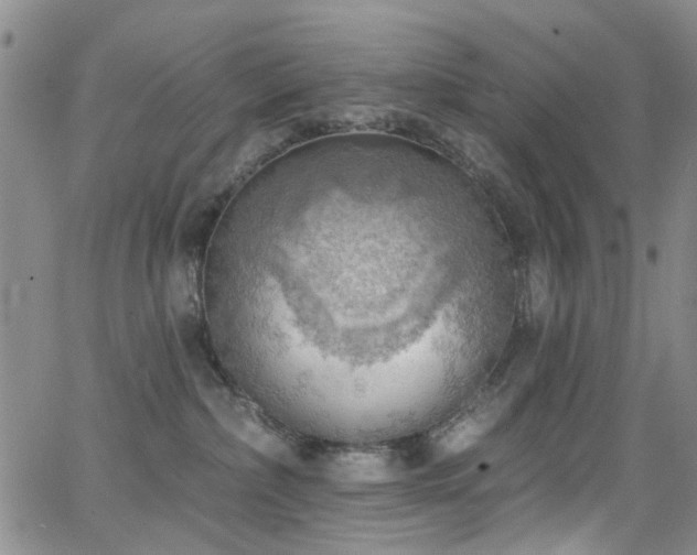 X0000063530236200601201506