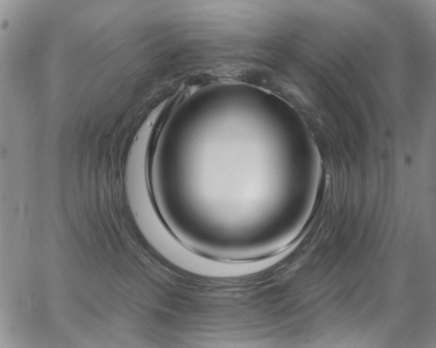 X0000063530237200601201506