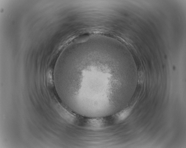 X0000063530238200601201506