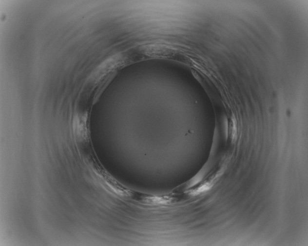 X0000063530239200601201506