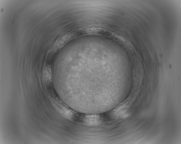 X0000063530240200601201506