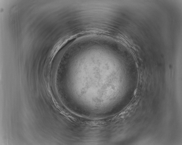 X0000063530241200601201505