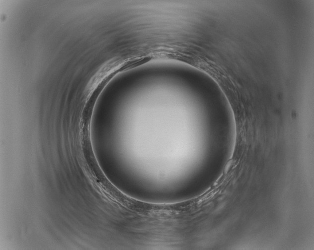 X0000063530242200601201505