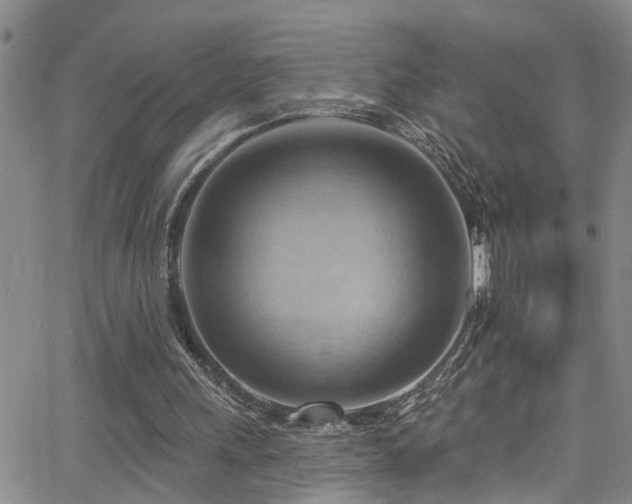 X0000063530243200601201505