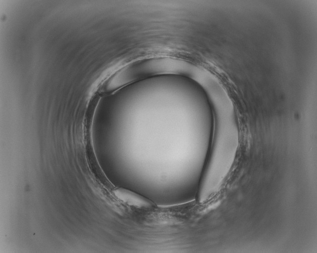 X0000063530244200601201505