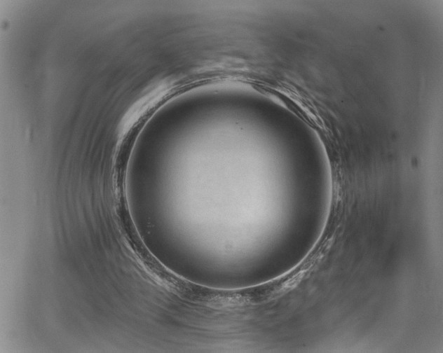 X0000063530245200601201505