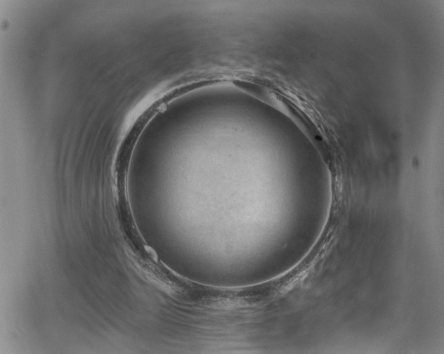 X0000063530246200601201505