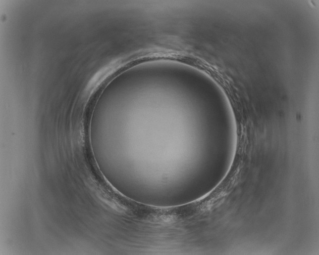 X0000063530247200601201505