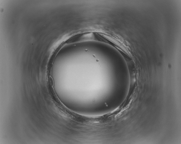 X0000063530248200601201505