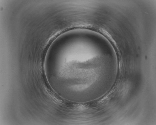 X0000063530249200601201505