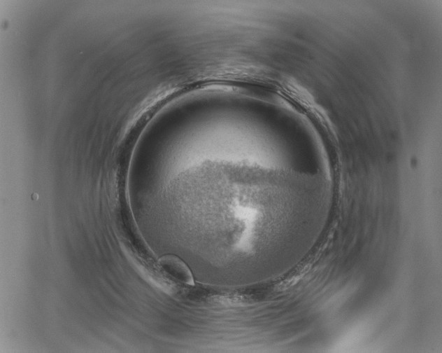 X0000063530250200601201505