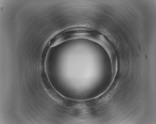 X0000063530252200601201505