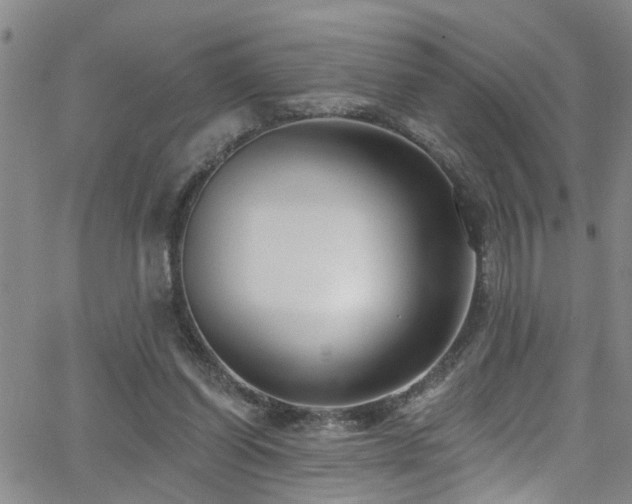 X0000063530254200601201505