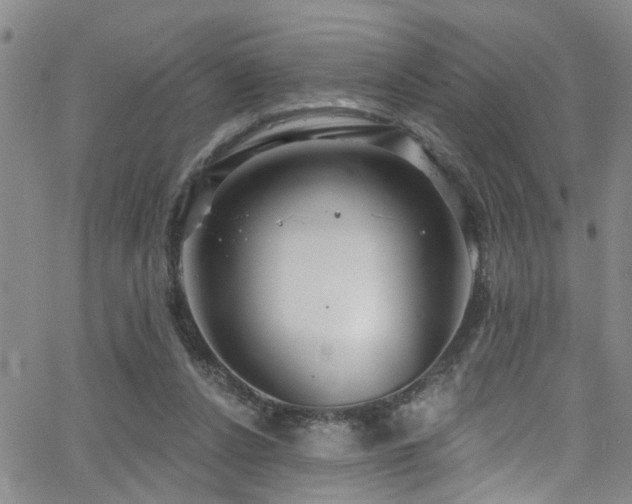 X0000063530256200601201505