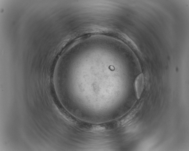 X0000063530257200601201505