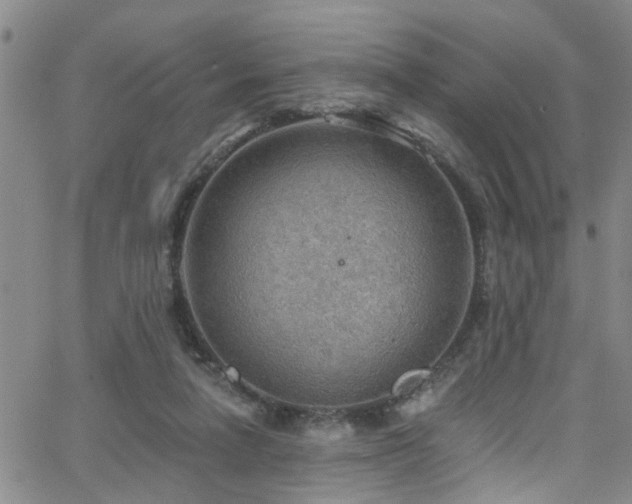 X0000063530258200601201505