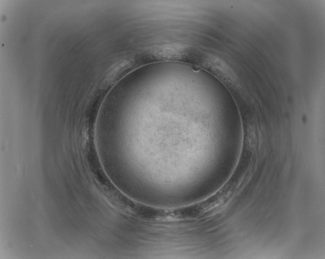 X0000063530259200601201505