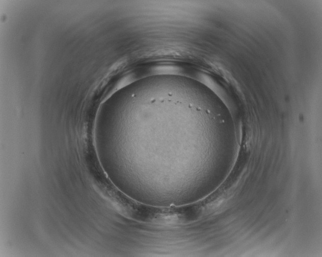 X0000063530260200601201505