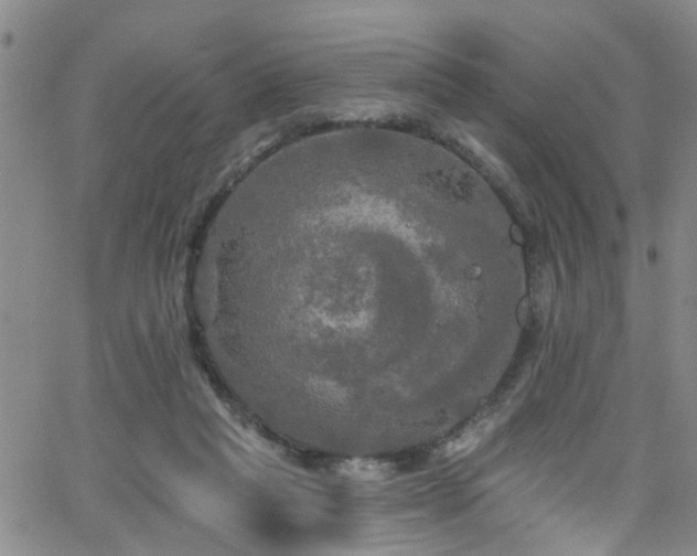 X0000063530261200601201505