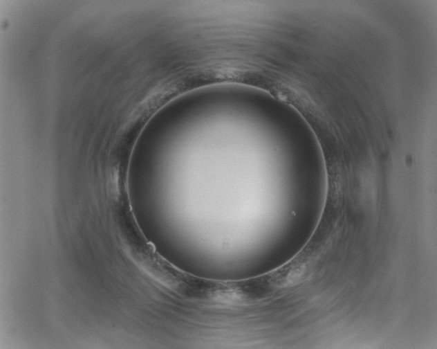 X0000063530262200601201505