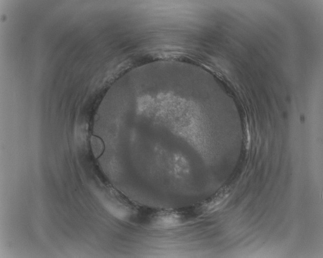 X0000063530263200601201505