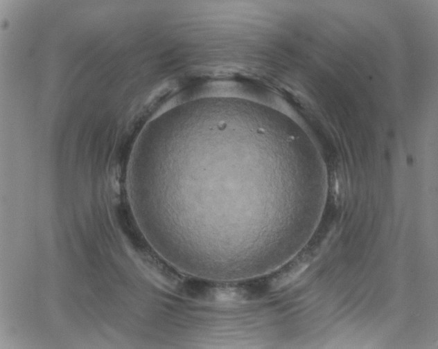 X0000063530264200601201505