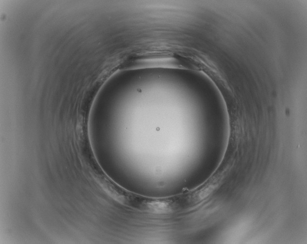 X0000063530265200601201505