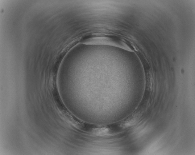 X0000063530266200601201505