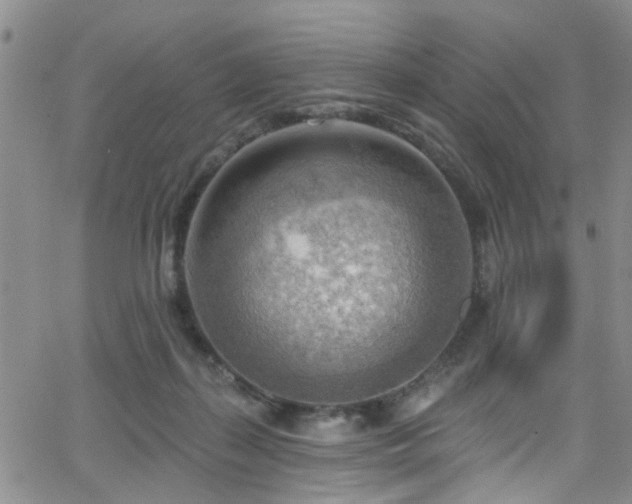 X0000063530267200601201505