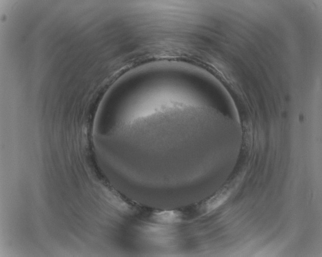 X0000063530269200601201506