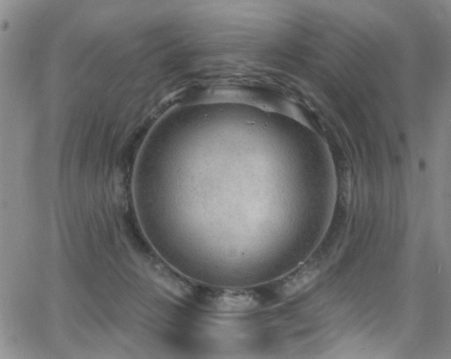 X0000063530270200601201506