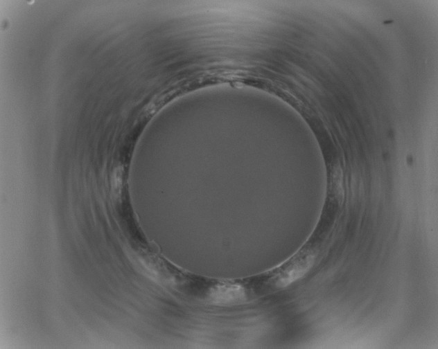 X0000063530271200601201506