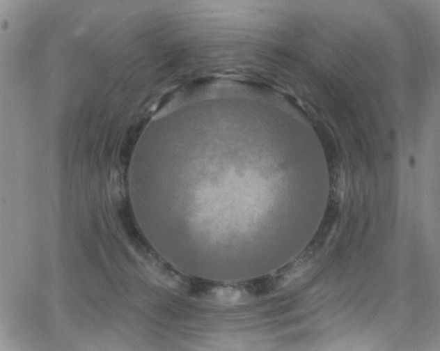 X0000063530272200601201506