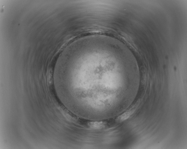 X0000063530273200601201506