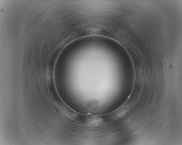 X0000063530274200601201506