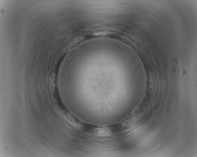 X0000063530275200601201506