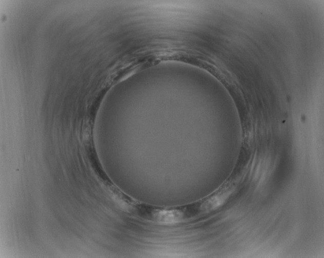 X0000063530277200601201506