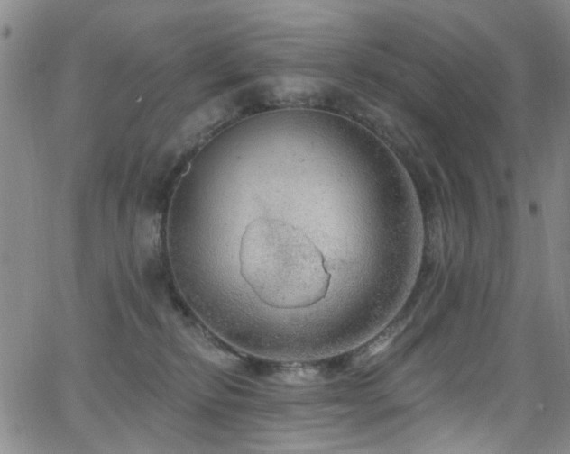 X0000063530278200601201506