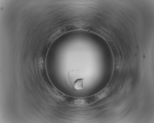 X0000063530279200601201506