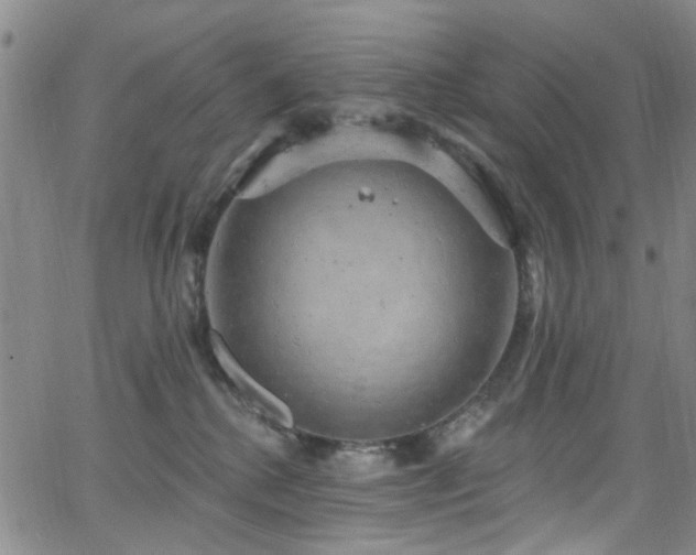 X0000063530280200601201506