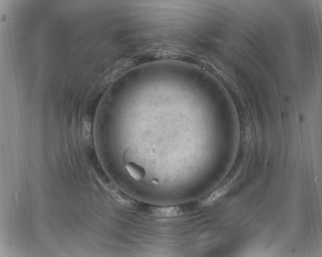 X0000063530281200601201506