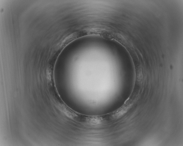 X0000063530282200601201506