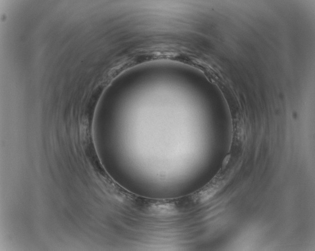 X0000063530283200601201506