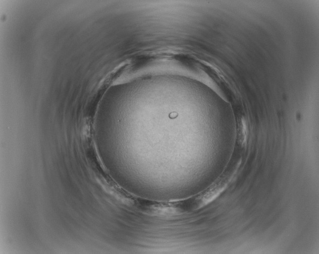 X0000063530284200601201506