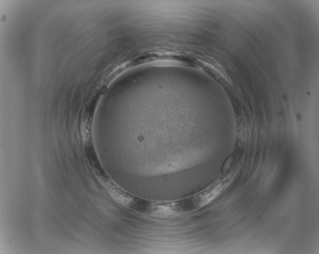 X0000063530285200601201506