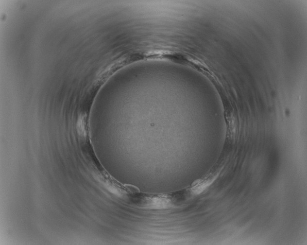 X0000063530286200601201506