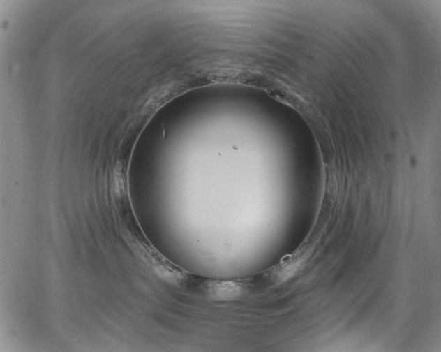 X0000063530287200601201506