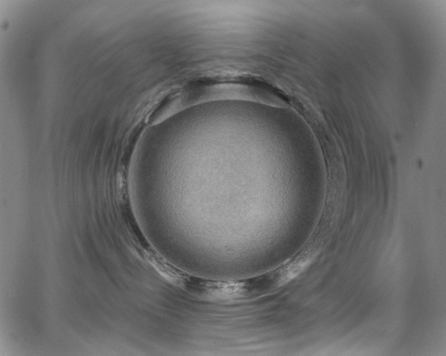 X0000063530288200601201506